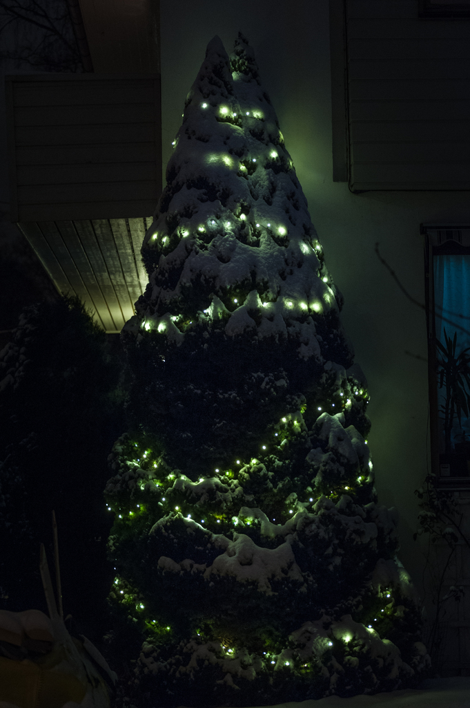 Xmas tree in the garden with lights and snow