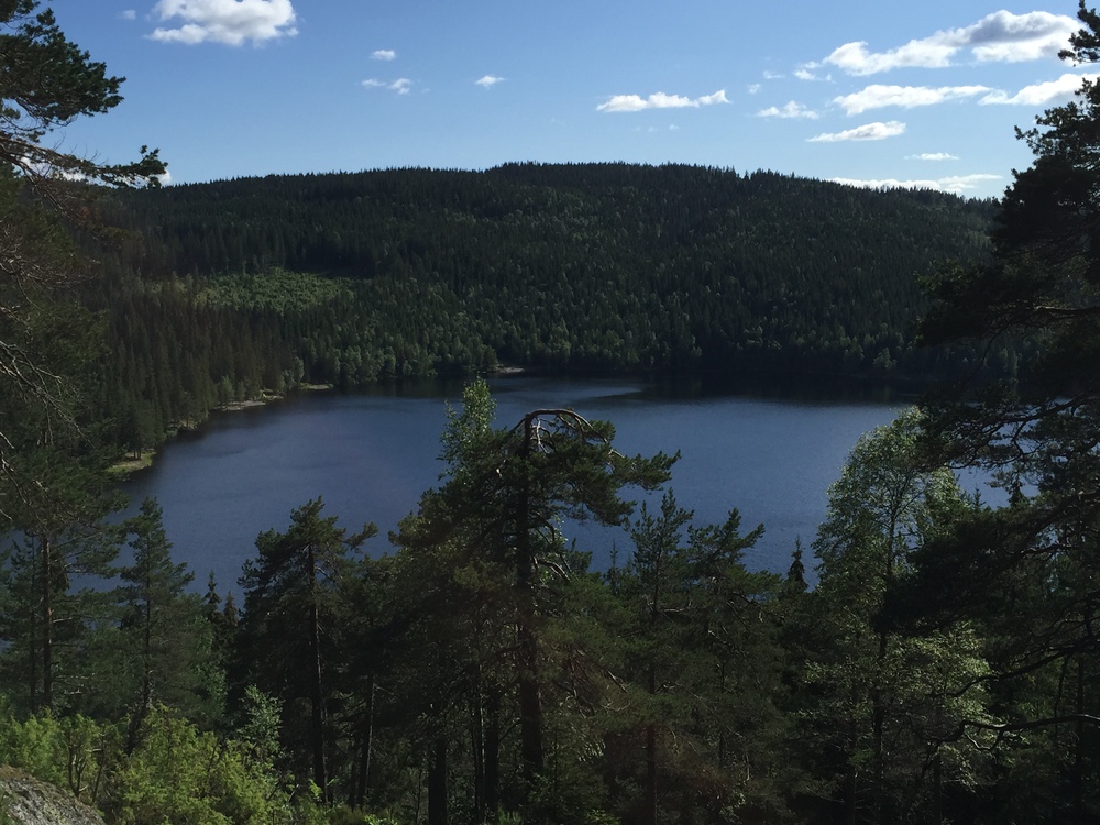 Øyungen from above