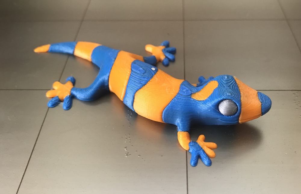 Lizard Lizard