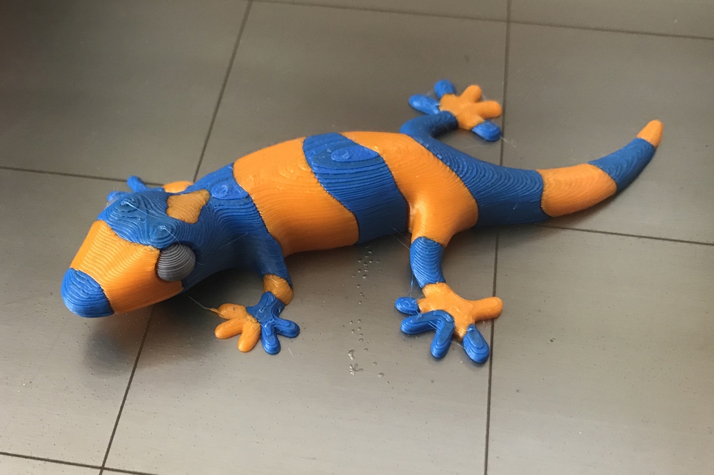 Lizard Lizard